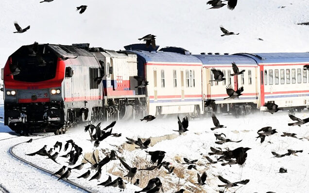 Gazi Turizm: Umre Turları, Hafta Sonu ve Günübirlik Turlar