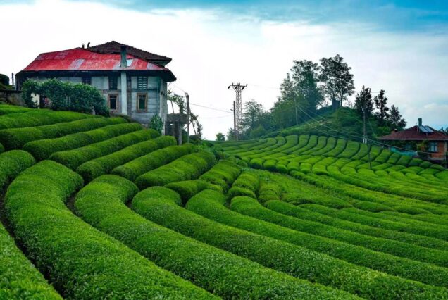 Gazi Turizm: Umre Turları, Hafta Sonu ve Günübirlik Turlar