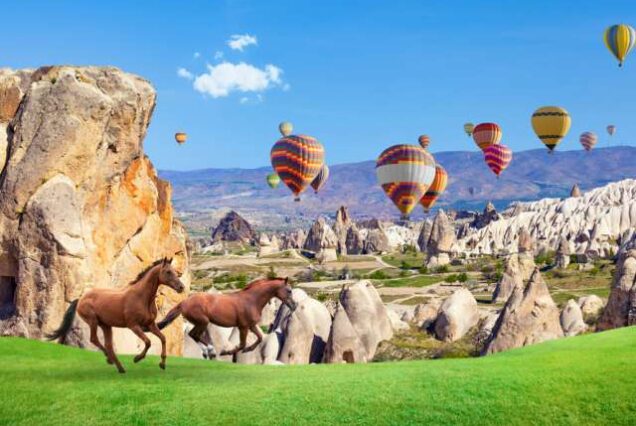 Gazi Turizm: Umre Turları, Hafta Sonu ve Günübirlik Turlar