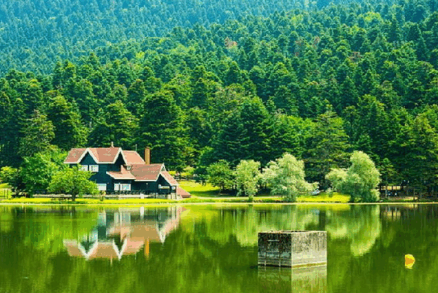 Gazi Turizm: Umre Turları, Hafta Sonu ve Günübirlik Turlar