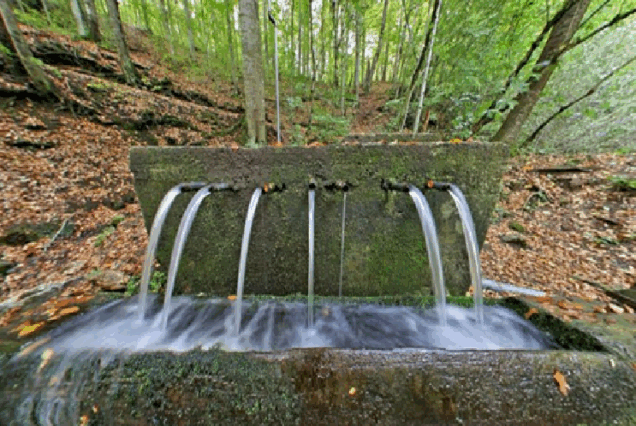 Gazi Turizm: Umre Turları, Hafta Sonu ve Günübirlik Turlar