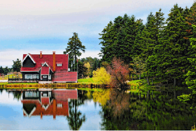 Gazi Turizm: Umre Turları, Hafta Sonu ve Günübirlik Turlar
